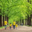 선암축사 이미지