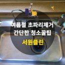 여름철 초파리 제거하는 방법 서원클린에서 알려드려요