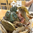 청솔해물탕 주차 메뉴 가격 수원 정자동 맛집