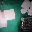 웰니스동물병원(롯데월드점) 이미지