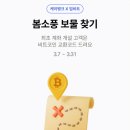 신박케이