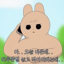 제주일상