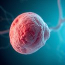 (주)플러스랩에스 이미지