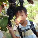 백천농장 이미지