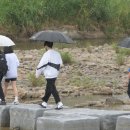 단비 이미지