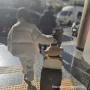 호텔류 | 경주 가성비 호텔 체스터톤스 객실 수영장 숙박후기