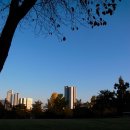 달성공원 | 대구 달성공원 동물원 후기, 감성 똑딱이 리코 GRD2