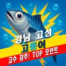 고성 낚시터 | 경남 고성 고등어 도보 워킹 루어 원투 서프 낚시 잘잡히는 포인트 추천
