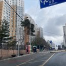 송악읍 반촌로 이미지