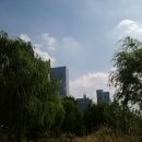 원조마포갈비 이미지