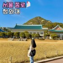 귀빈애견 | 서울 종로 가볼만한곳 청와대 개방 예약 관람 신청 코스 뒷산 후기