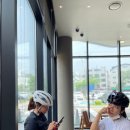 씽씽쏭쏭 이미지