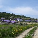 당산마을 화장실 이미지