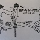 엉게나무 이미지