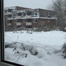 창민팜 | 독일 교환학생: 눈 깜빡하니 지나갔던 1월