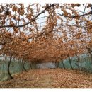 가곡농장 이미지