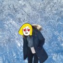 무주읍126 이미지