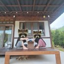 여행집 | 유포리나의집 주말여행 후기