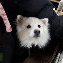 이은성행정사 이미지