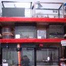 애니멀랜드 이미지