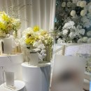 드씨엘관광호텔 | 대전 웨딩홀 ‘씨엘드포레’ 호텔선샤인웨딩홀 대전 밝은 홀 하객 후기