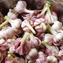 농민건강원 이미지