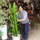 수주초등학교 이미지