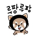 공차트레이더스 동탄점