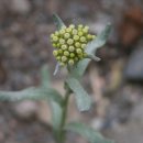 꽃소아청소년과의원 이미지