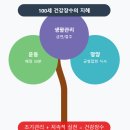 100세 이상 장수노인의 생활습관과 생체지표: 두 개의 대규모 종단연구 분석 이미지