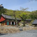 진성목장 | 해남 서동사 : 보물 대웅전과 동백 숲이 건네는 천년의 위로