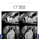 공감+동물의료센터 이미지