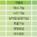 식물인간과 뇌사의 차이 이미지