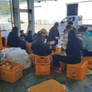 영덕군보건소 이미지