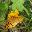 64. 나비효과(Butterfly Effect) 이미지