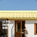 안의모터스 이미지