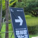 수영강 세월교 | 2025 나이트워크 부산 16km 후기