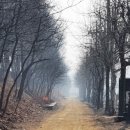 수왈태국레스토랑