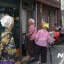 파마하는날 이미지
