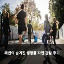 생명과 자연 | 해변의 숨겨진 생명들 자연 관찰 후기