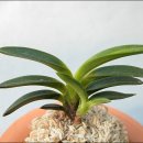 두엽농장 이미지