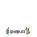 써니애견 이미지