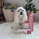 펫스타일 | 강아지 치석제거 필수템! 자유펫 치약 칫솔 세트 사용 후기