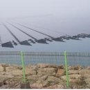 서해에너지태양광발전소 이미지