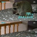 서인국 카카오 검색결과