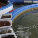 선봉농장 이미지