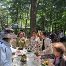 2024.6. 5(수) 시니어아카데미 우장산숲체험 + 점심식사(사랑하올어머니pr.) 이미지
