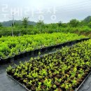 운천농장 이미지