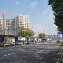 공항중학교 버스정류장 이미지