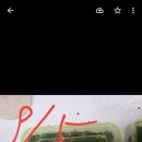 희창이네 농장 이미지